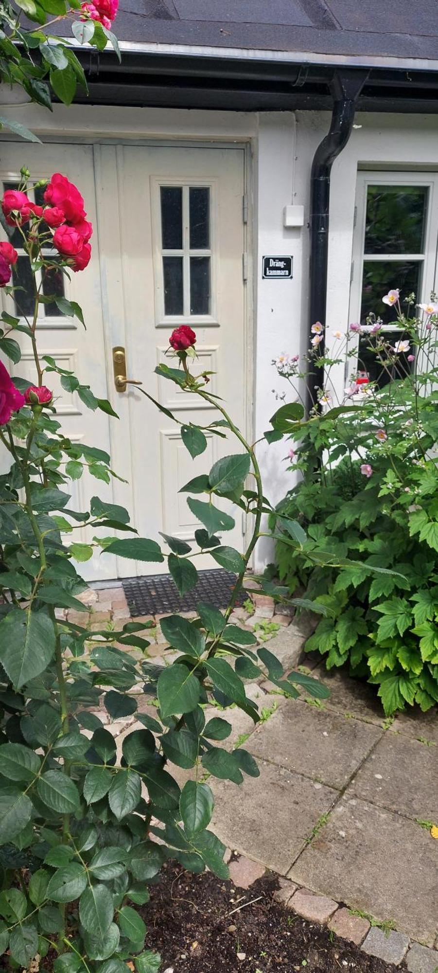 Bjerred B&B Bjarred Bagian luar foto