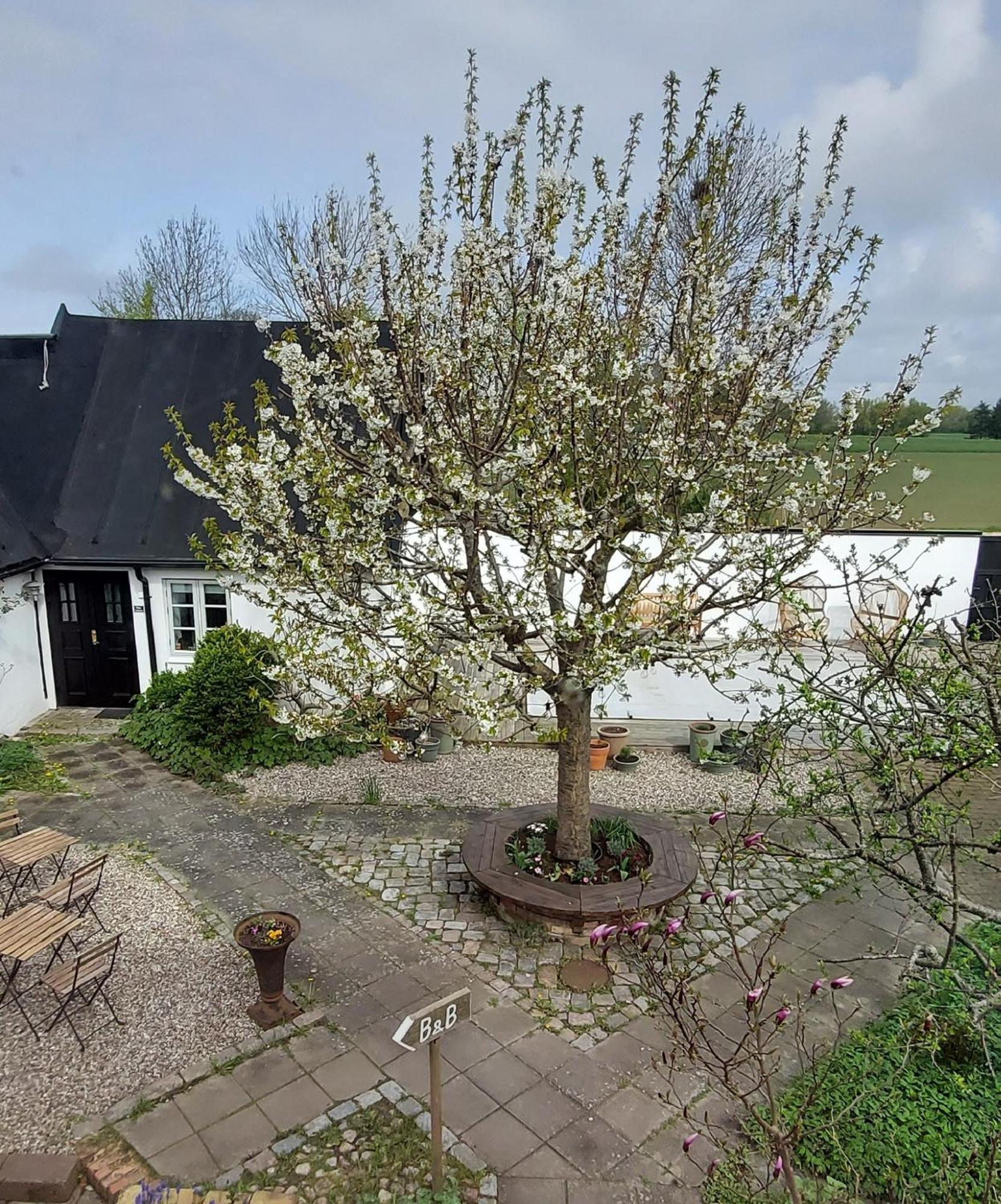 Bjerred B&B Bjarred Bagian luar foto